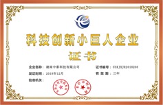 科技創(chuàng)新小巨人企業(yè)
